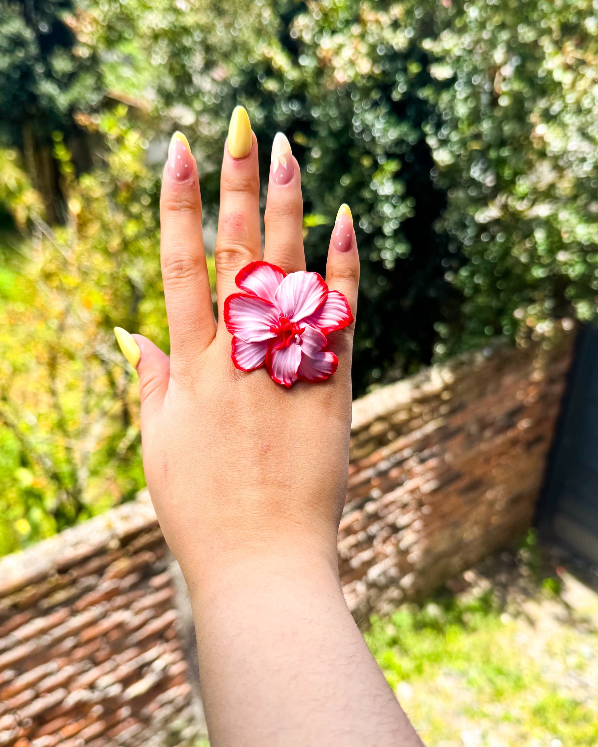 Alessia | Anillo