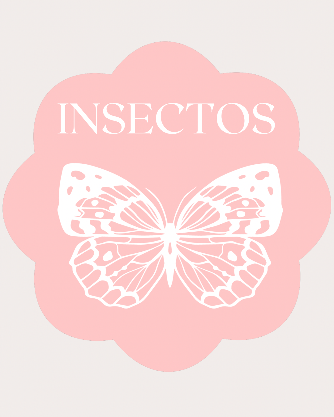 Insectos