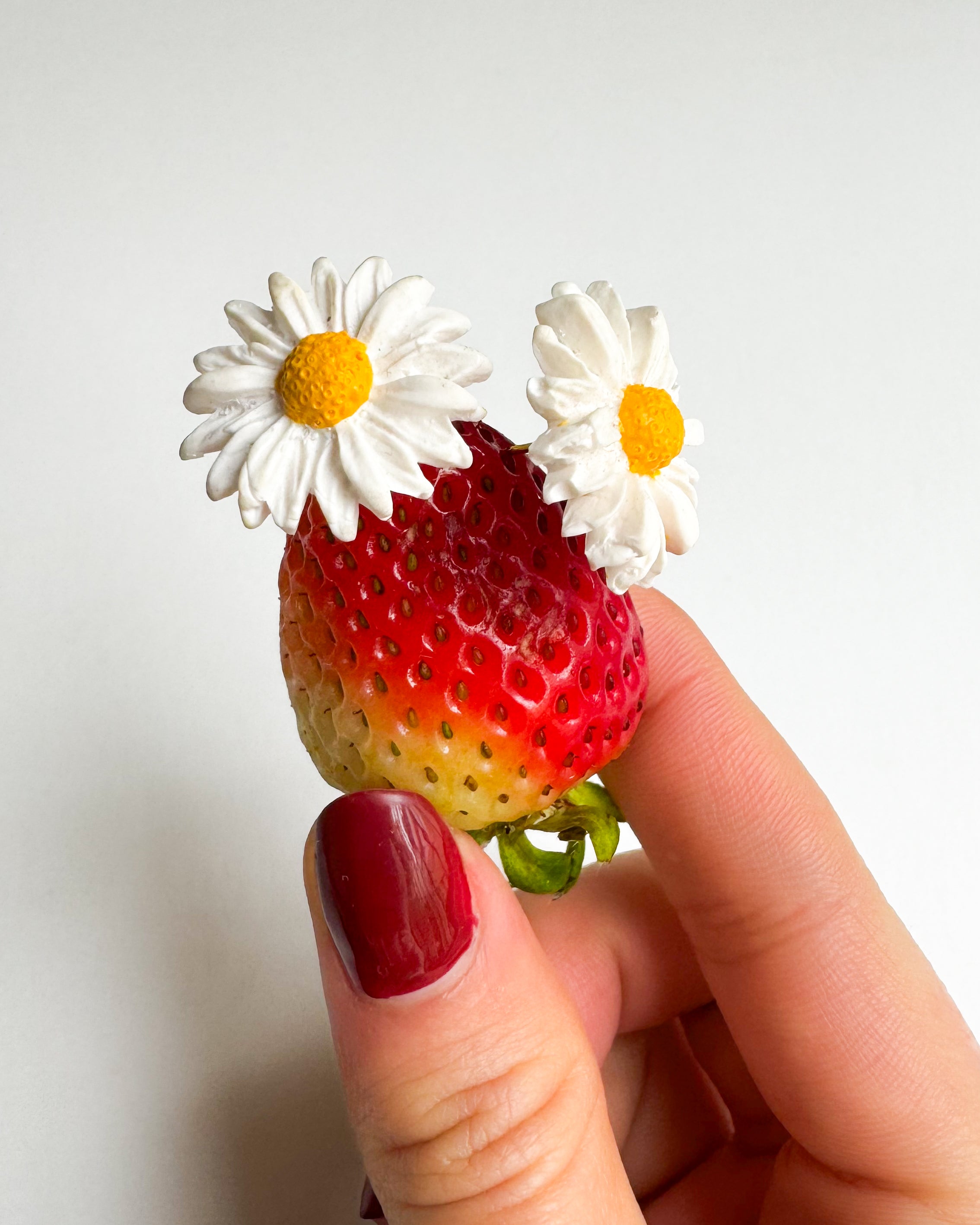 🌸 Margaritas | Studs