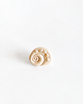 Caracola perlada | Anillo