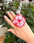 Anillo Calista