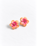 ✨Aretes Peachy