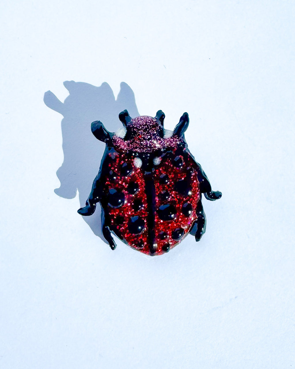 ✨Mariquita | Broche