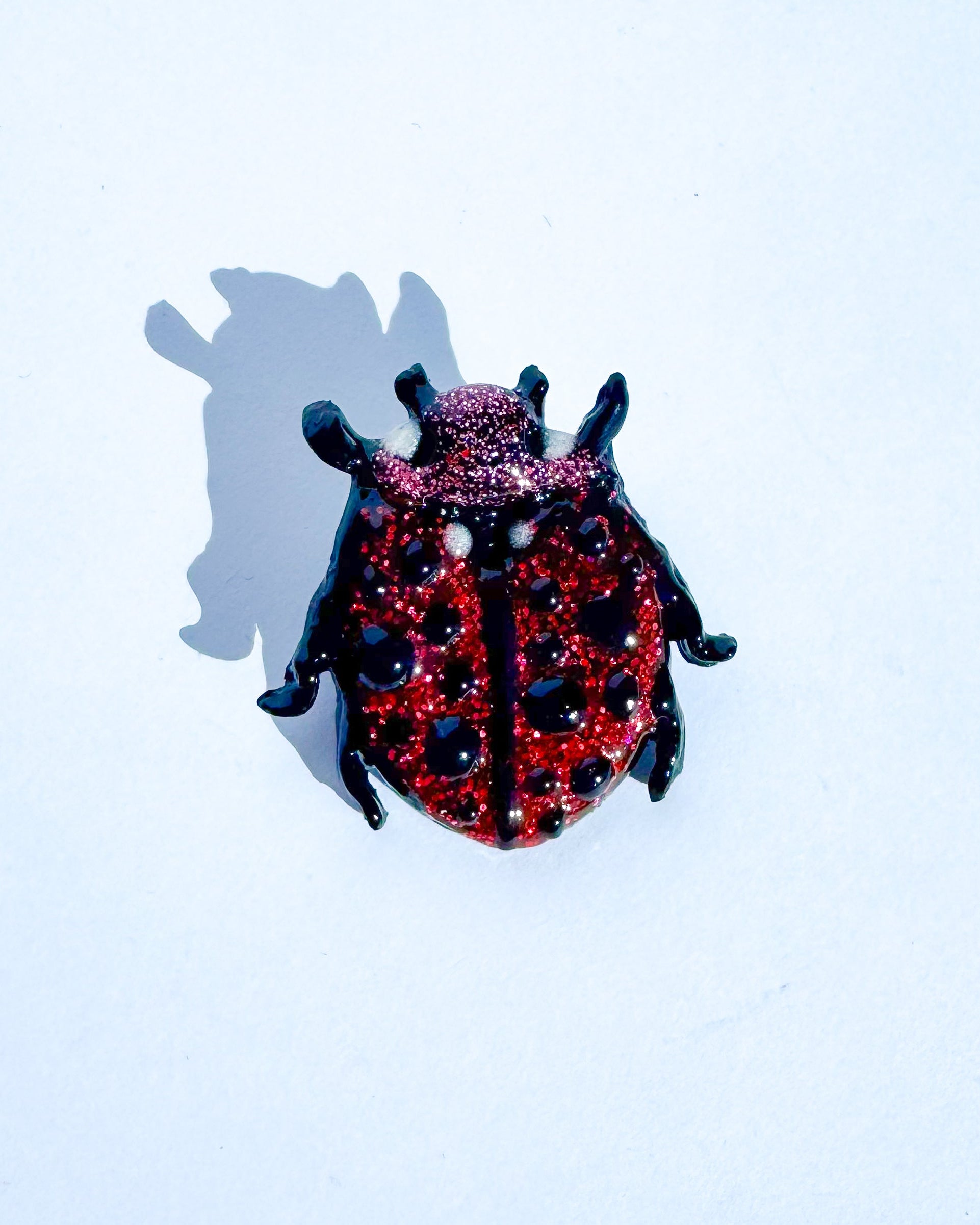 🌸 Mariquita | Broche