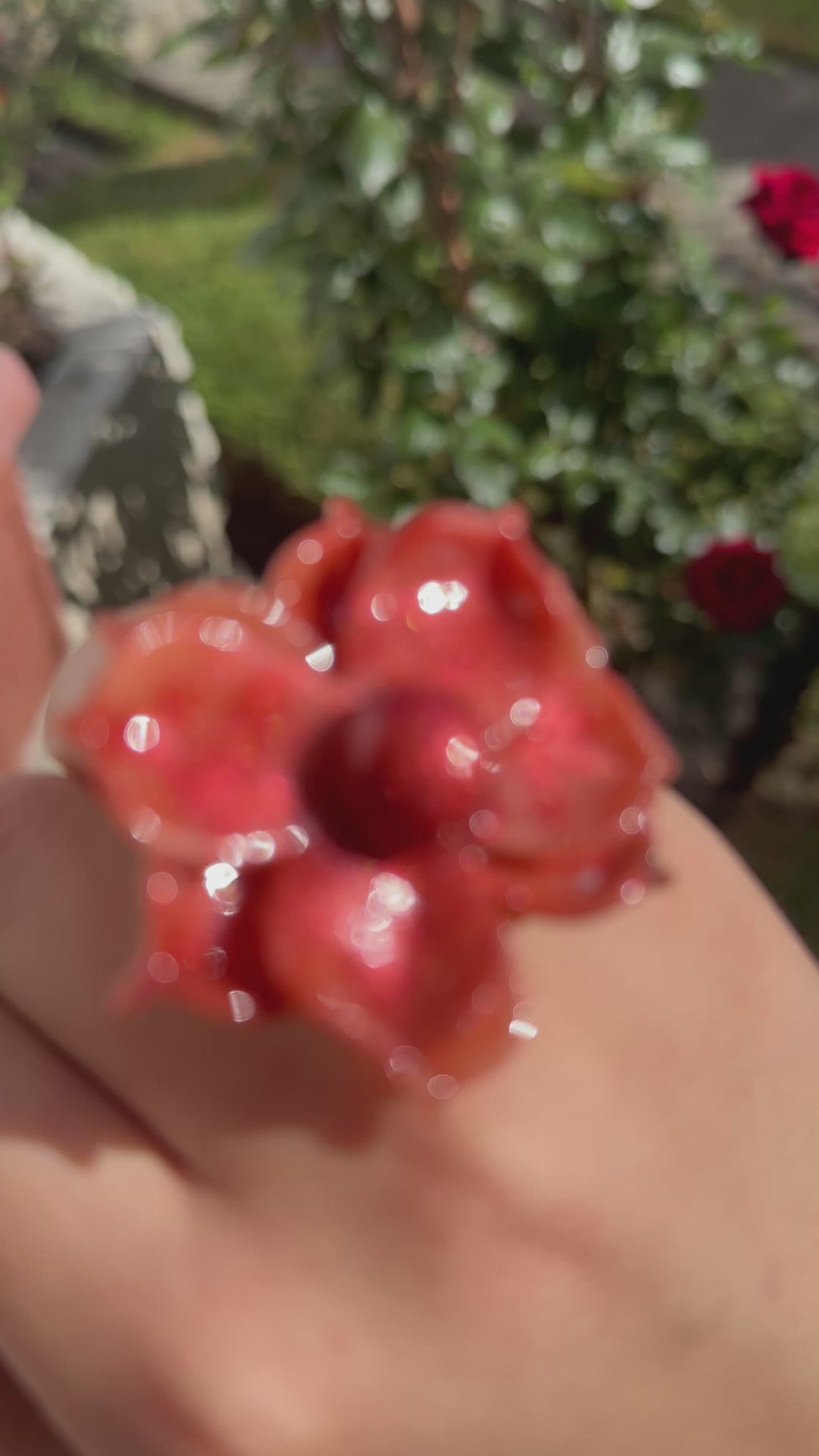 Romelia | Anillo