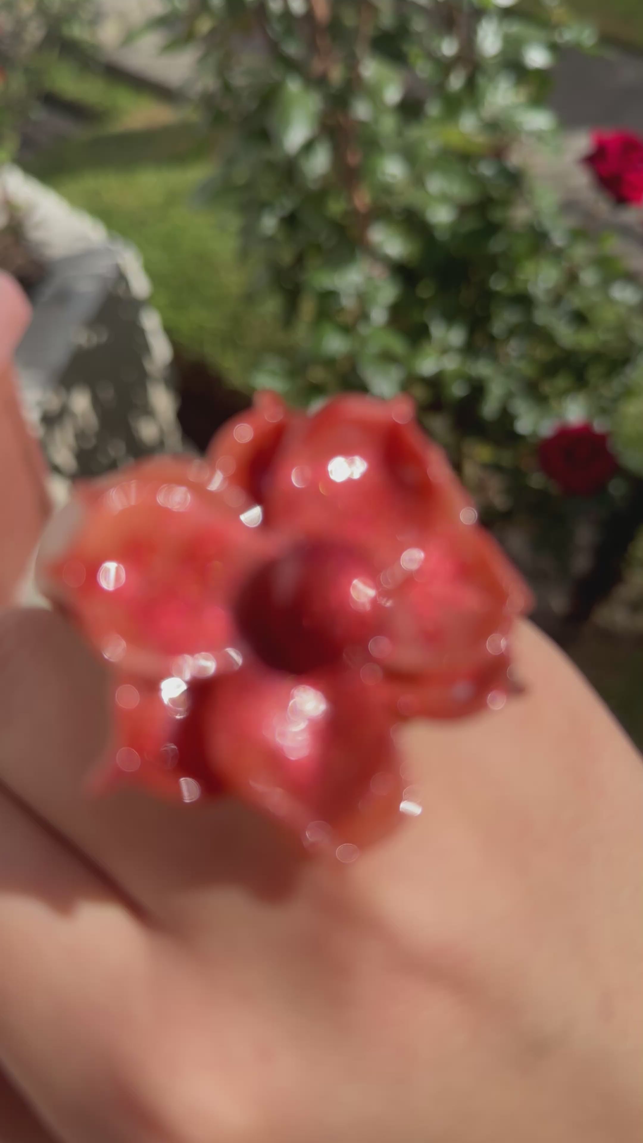 Romelia | Anillo